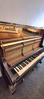 C.BECHSTEIN - 6