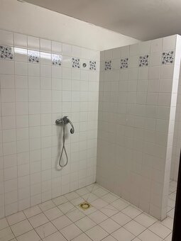 Pronájem výrobní haly 384 m² - 6