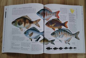 Kniha Encyklopedie rybářství, Abeceda rybaření... - 6