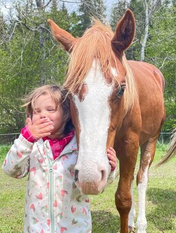 Valášci PH a QH - 6