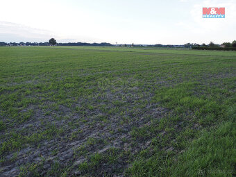 Prodej pozemku k bydlení, 3364 m², Staré Jesenčany - 6