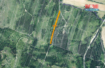Prodej lesa, 6647 m², Nová Hradečná - 6