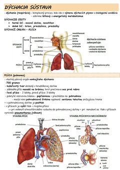 KOMPLET na přijímačky medicína Brno Masarykova MU - 6