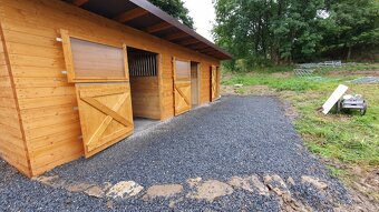 Pastevní ustájení v ráji i pro DUŠNÉ koně PRAHA 35 minut - 6