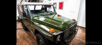 Mercedes G250D WOLF - 6