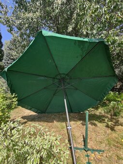 Velký slunečník - 6