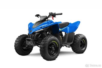 CFMOTO GLADIATOR X110 LE - 6