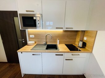 Pronájem 1+kk, přízemí, vybavený, terasa, parkovací místo - 6
