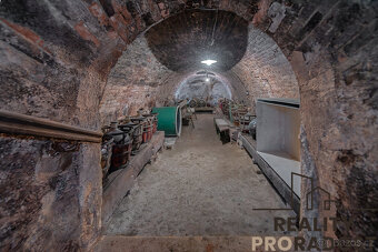 Prodej pozemku 450 m2 s vinným sklepem ve Strachoticích, okr - 6