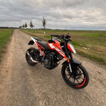 KTM duke 125 - 6