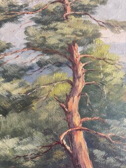 Obraz Jan Rolek Trávníček, Šumava, olej plátno 88x118 - 6