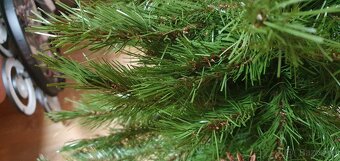 Vánoční stromek, stromeček - 6