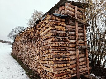Suché palivové dřevo - 6