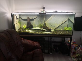 Akvárium cca 900litrů - 6