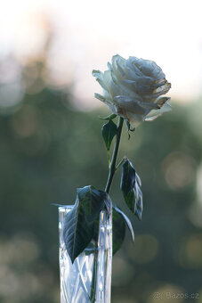 objektiv SMC Pentax-M 200mm f/4 - 6