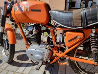 Ducati TS 175 - 6