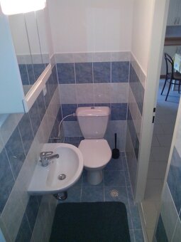 Pronájem bytu 1+1, 46 m2, Brno- Žilkova - 6