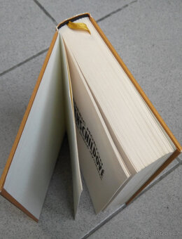 Kniha: ROTHSCHILDOVÉ - 6