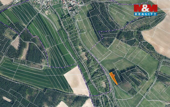 Prodej pole, 7398 m², Střemy-Jenichov - 6