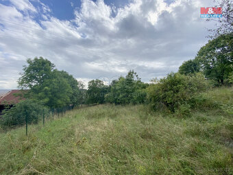 Prodej pozemku k bydlení, 3751 m², Sosnová - 6