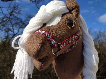 Hobby horse - 6