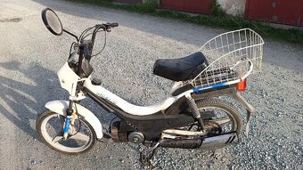 2x Manet Korado - 6