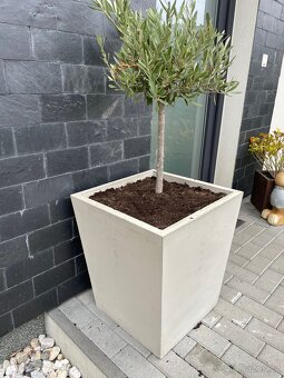 Zahradní betonový květináč - 6