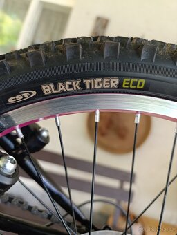 Swan "20" mtb croxx - 6