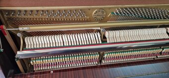 Piano Rösler - Petrof z r. 1995 - 6