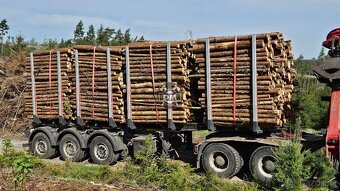 Palivové dřevo-kamion - 6