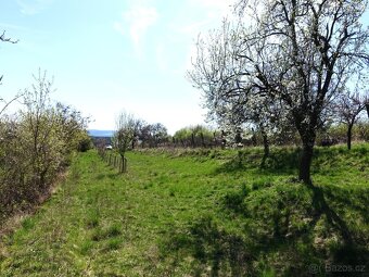 Prodej vinohradu 4114 m², Bzenec - 6