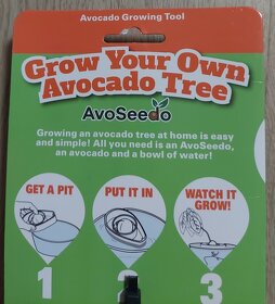 AvoSeedo Vypěstujte si avokádový strom - 6