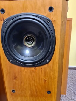 Tannoy D300 - 6