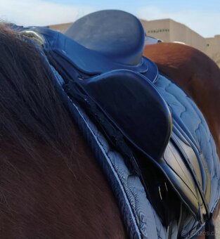 Bezkostrové zánovní sedlo - 6