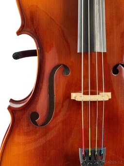 Celomasivní studentské violoncello 4/4 - 6