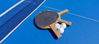 Pingpongový stůl, stolní tenis, ping pong - 6