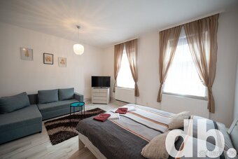 Pronájem bytu 2+kk 45 m2, Karlovy Vary - Stará Role - 6