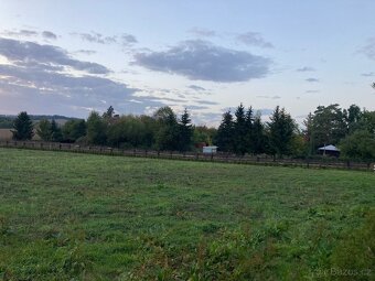 Pronájem Louky pro koně 5200m2 - 6