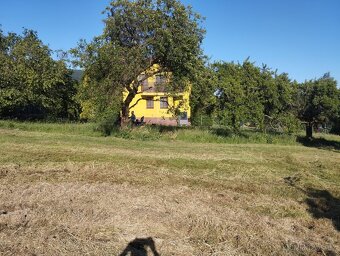 Mulčování - 6