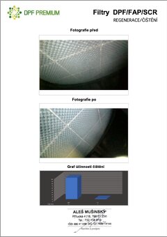Filtr pevných částic číslo dílu 289B0-2F040 KIA, Hyundai - 6