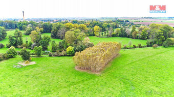 Prodej lesa, 1461 m², Skřivany - 6