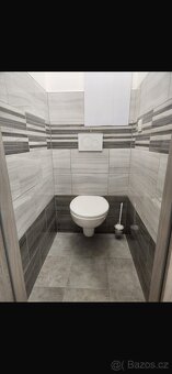 Pronájem bytu 2+1 Opava - 6