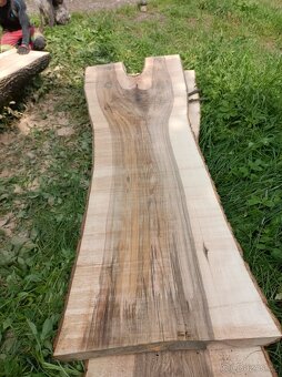 Stolařské fošny Jasan, Jilm - 6