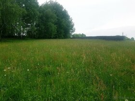 Prodej stavebního pozemku ŘEHOŘOV u Jihlavy - 6