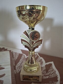 Krásné poháry - 6