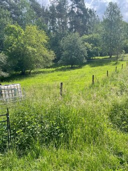 Medonosy Kokořínsko - 6