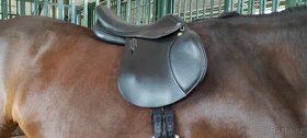 Prestige Roma jump new 17/34 - 6