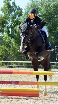 top pony do sportu - 6