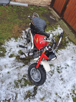 HONDA MONKEY Z50J - 6