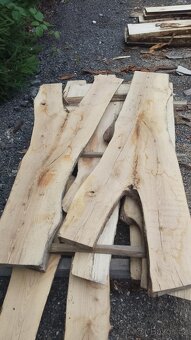 Odřezky dubu a olše - 6